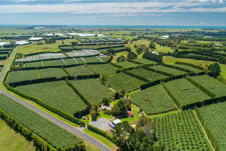 331 Maniatutu Road Pongakawa_14