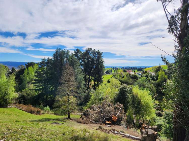 14 GULL STREET Waihola_10