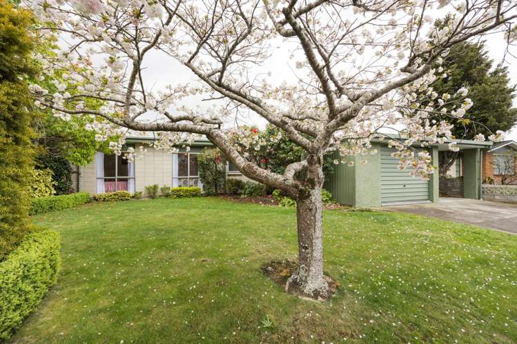 42 John F Kennedy Drive Milson_24