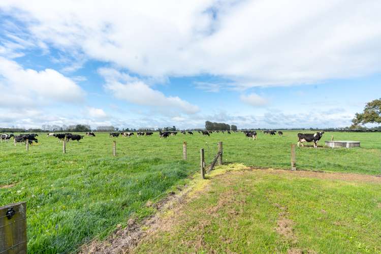 294 Piako Road Gordonton_44
