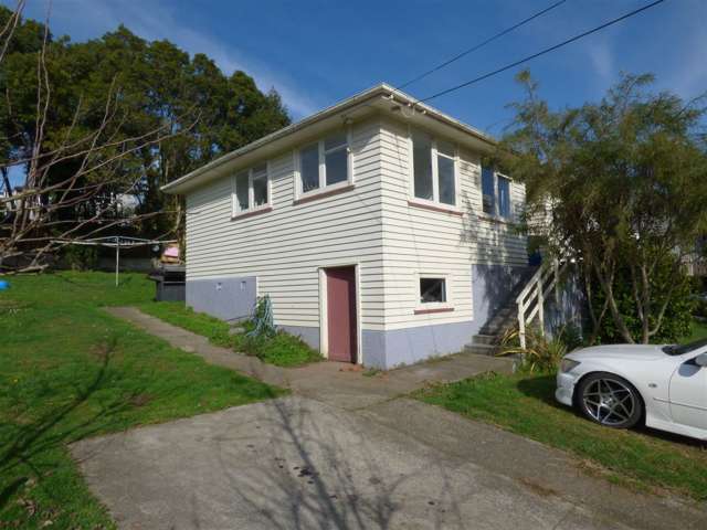 12 Domain Drive Otorohanga_1