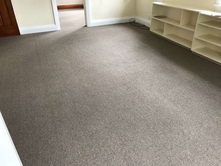 141 Forbury Road Saint Clair_12