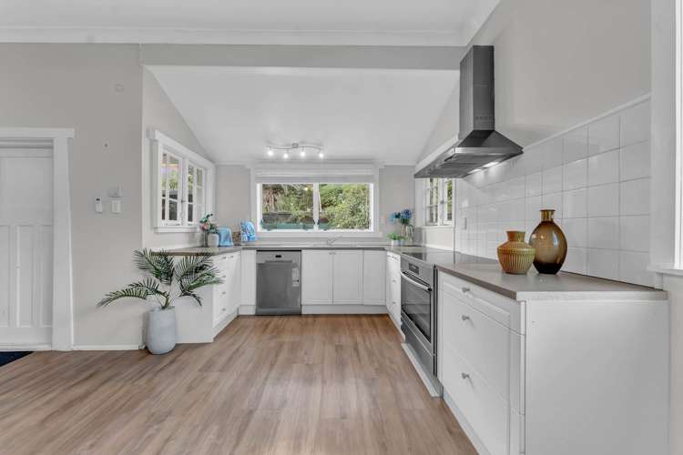 20 Shetland Street Glen Eden_7