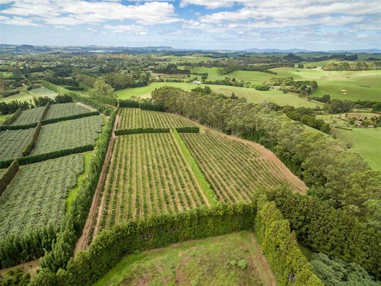 517 Kerikeri Road Kerikeri_5