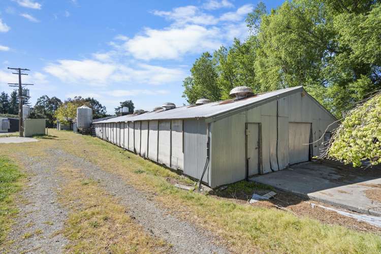 66 Boundary Road Ashley_21