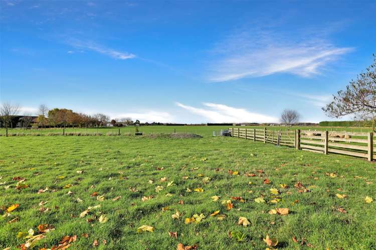 222 Tinwald Westerfield Mayfield Road Tinwald_43