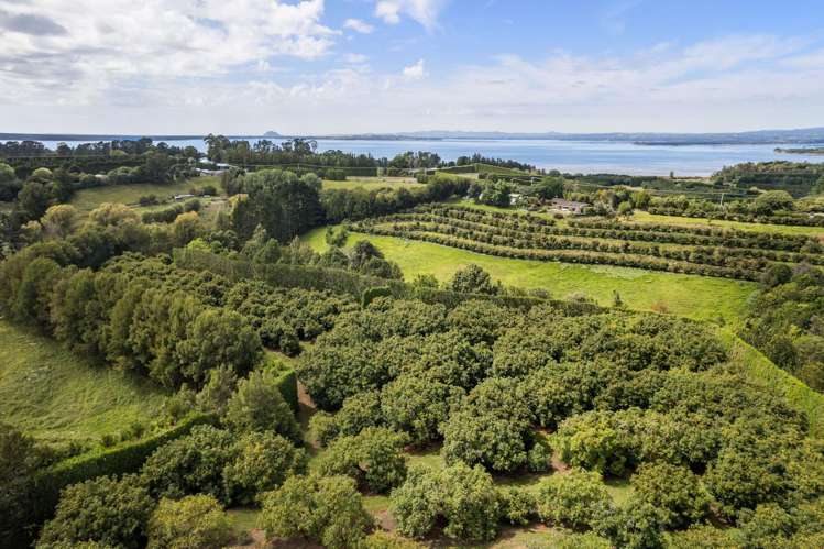 22 Ongare Point Road Katikati_11