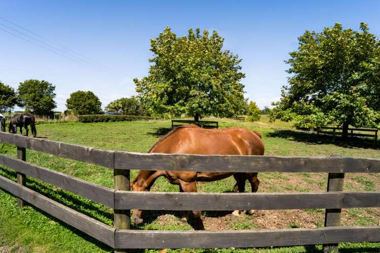 88 Te Arei Road East Lepperton_9