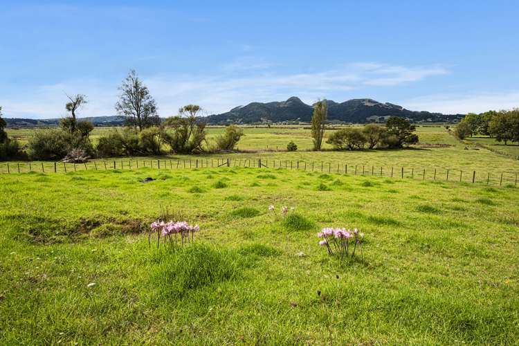 82 Finlayson Road Matarau_20