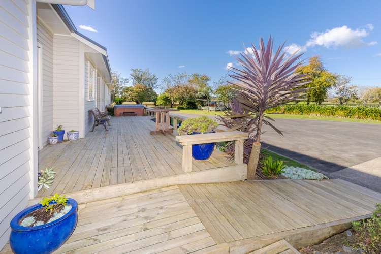 3763 Ohaupo Road Ohaupo_50