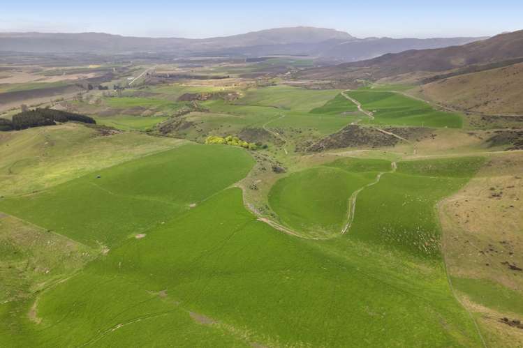 501 Waikerikeri Valley Road Waikerikeri_9