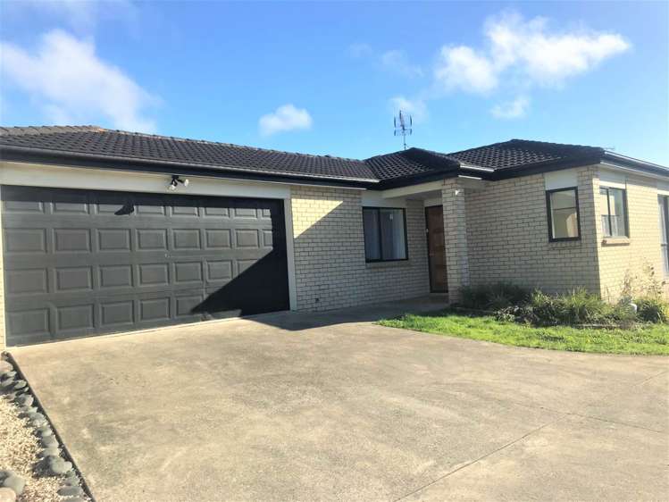 697 Hillsborough Road Mount Roskill_12