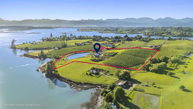 46 Cardno Way Bronte_18