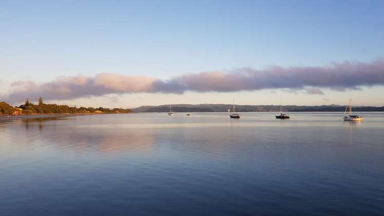 17 Finch Street One Tree Point_14