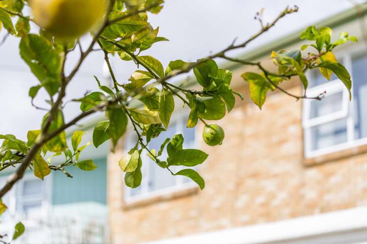 151 Rosier Road Glen Eden_15