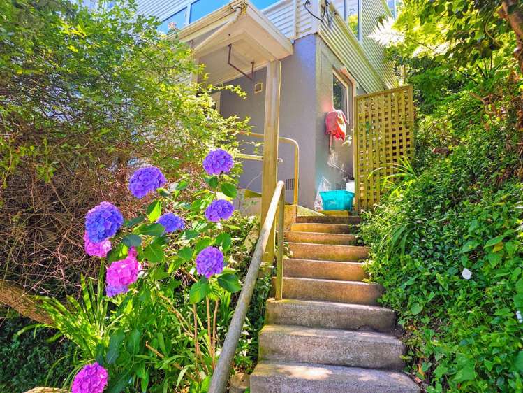64B Salamanca Road 1287_5