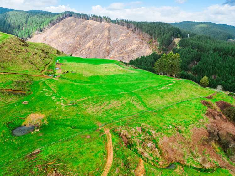 3789 State Highway 4 Ongarue_31