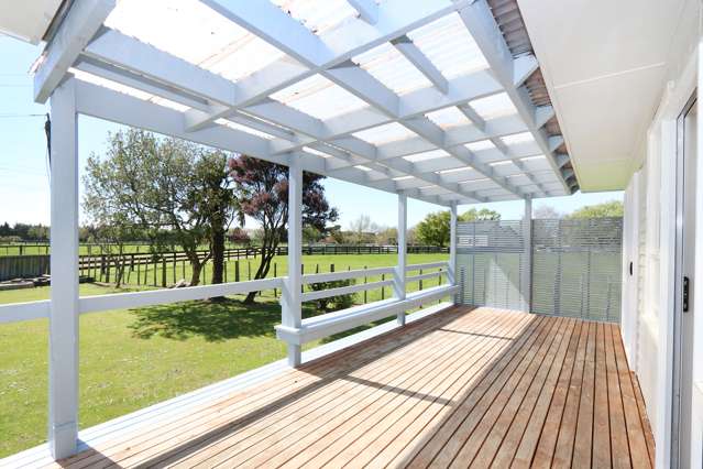 185 Kawakawa Road Feilding_3