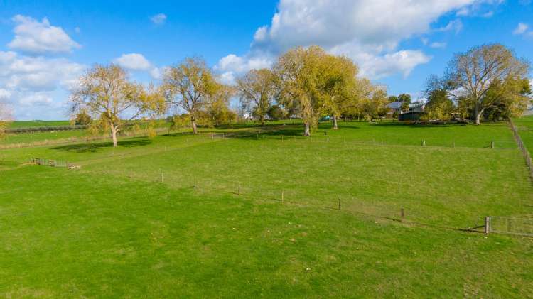 17 Rewa Road Morrinsville_15