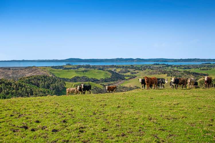 156 Te Kanae Road, South Head Helensville_33