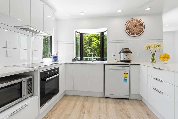 80 Tender Road Dairy Flat_6