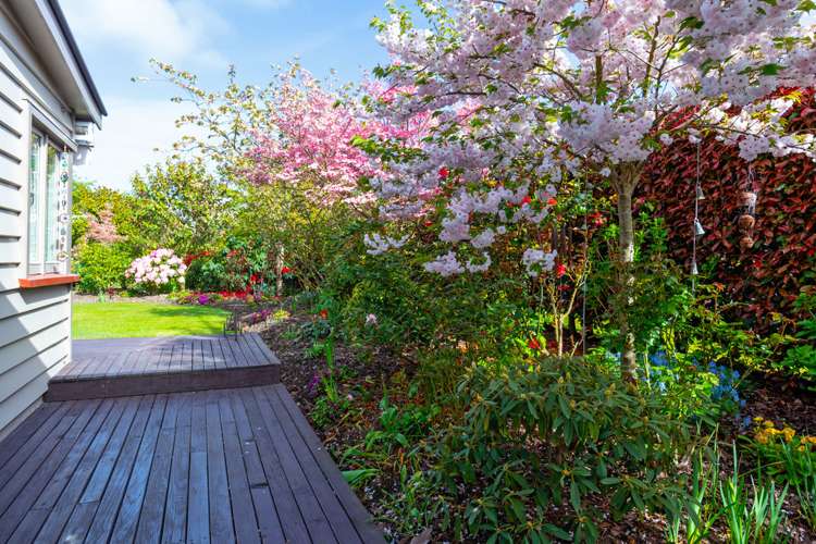 212 Talbot Street Geraldine_15