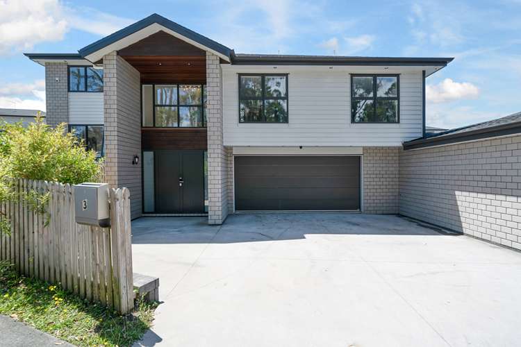 3 David Rogers Lane Swanson_35