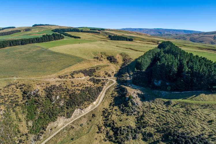 220 Mackay Road West Otago Surrounds_17