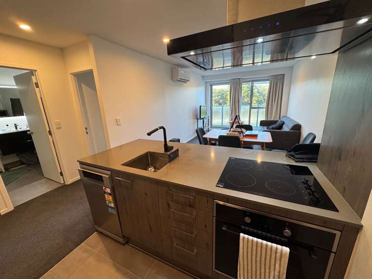 6 Winchester Street Grey Lynn_13