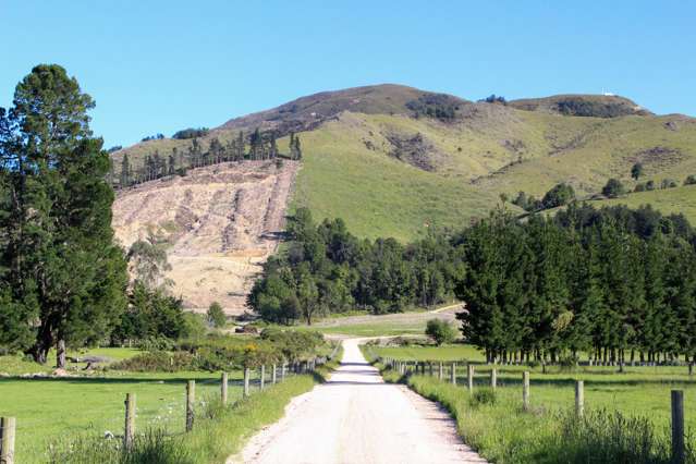 Alford Forest Settlement Road Mount Somers_3