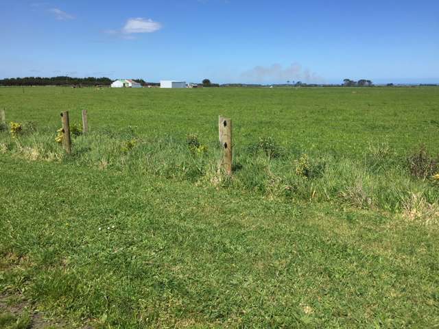 1703 Eltham Road Riverlea_3
