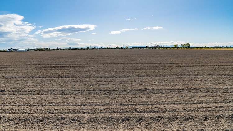 Selwyn Lake Road Leeston_16