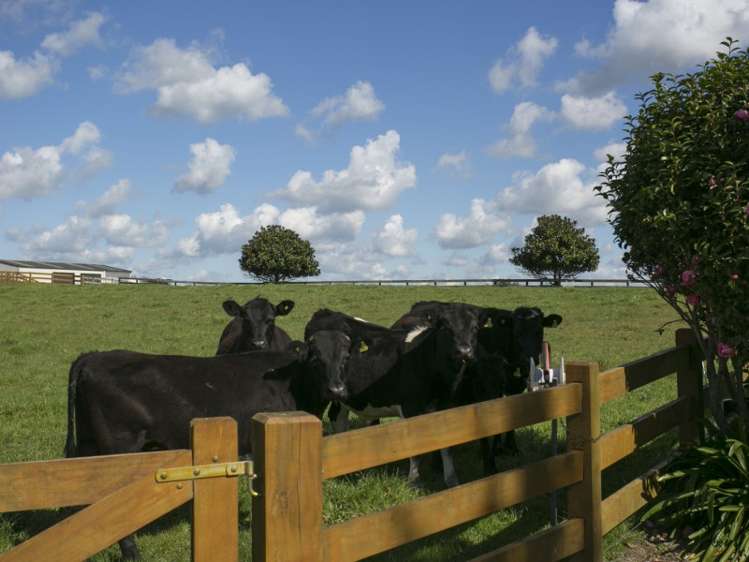 1183c Victoria Road Tauwhare_8