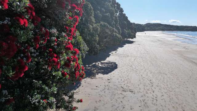 17 Midgard Road Coopers Beach_3