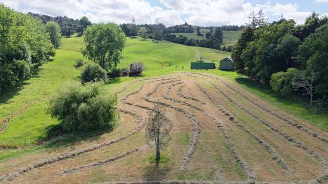 21ha Central Bay of Islands Beef Farm