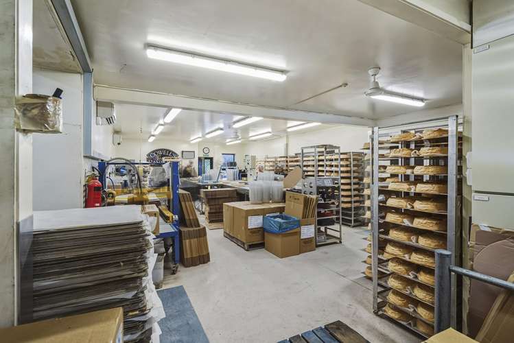 146 Frederick Street North Dunedin_13