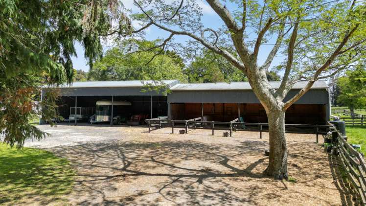 509 Marychurch Road Matangi_42