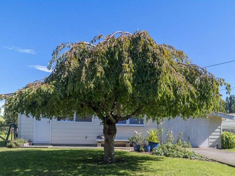 92 Tollemache Road Longlands_5