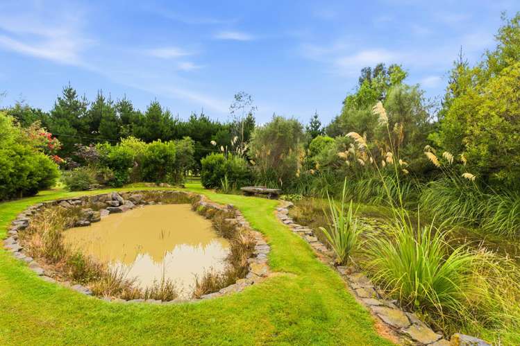 71 Blackhead Road Blackhead_30