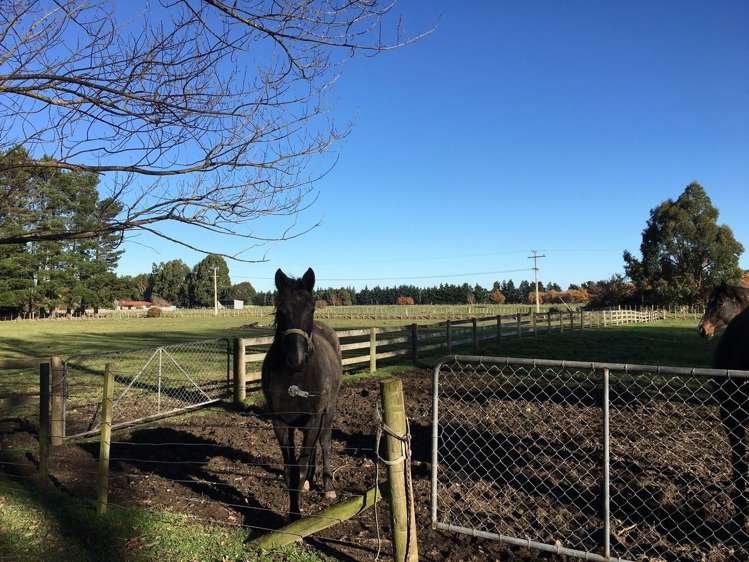 368 Belvedere Road Carterton_8