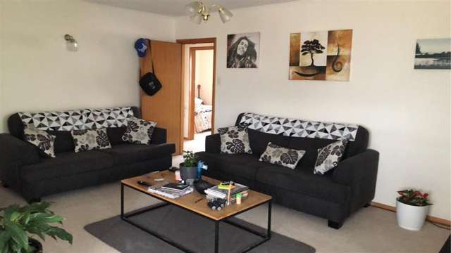 186 Howick Road Witherlea_4