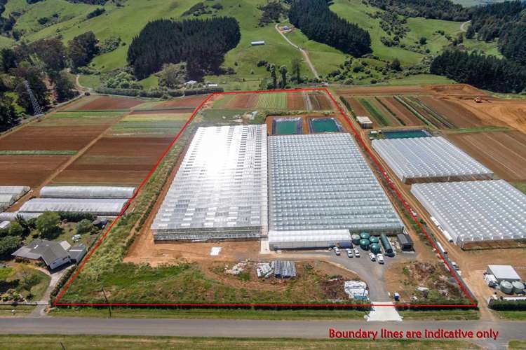 379 Razorback Road Pokeno_3