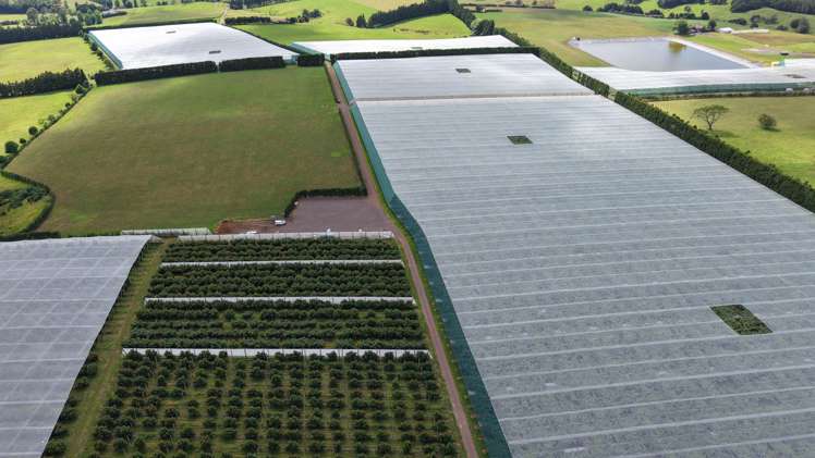 768A-B Te Ahu Ahu Road Waimate North_4