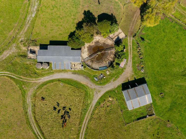229 Teapot Valley Road Brightwater_6