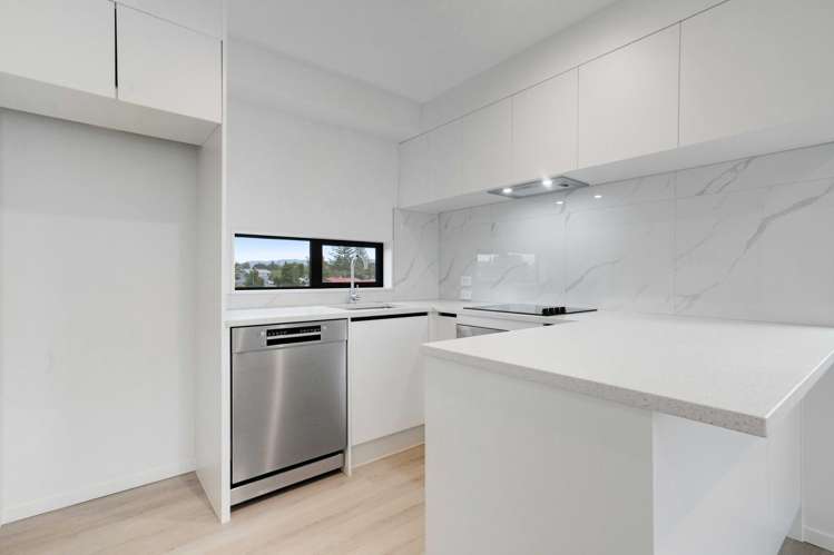 Lot 46/26 Pomaria Road Henderson_19