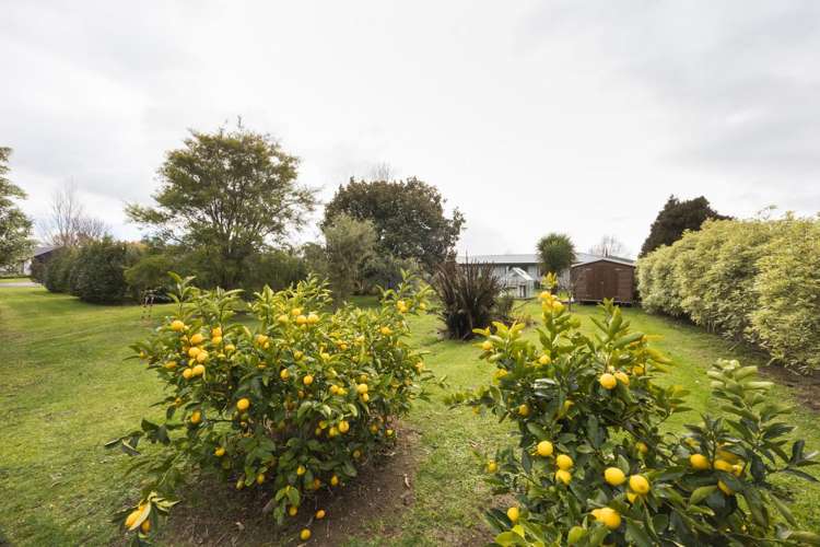 8 Oranga Lane Feilding_21