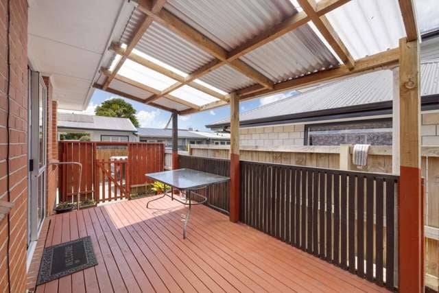 219 Fifteenth Avenue Tauranga South_2