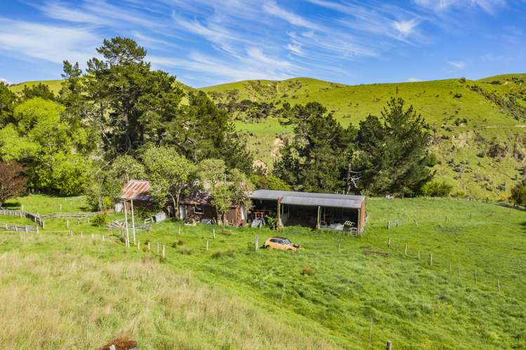 1228 Greta Road Greta Valley_12