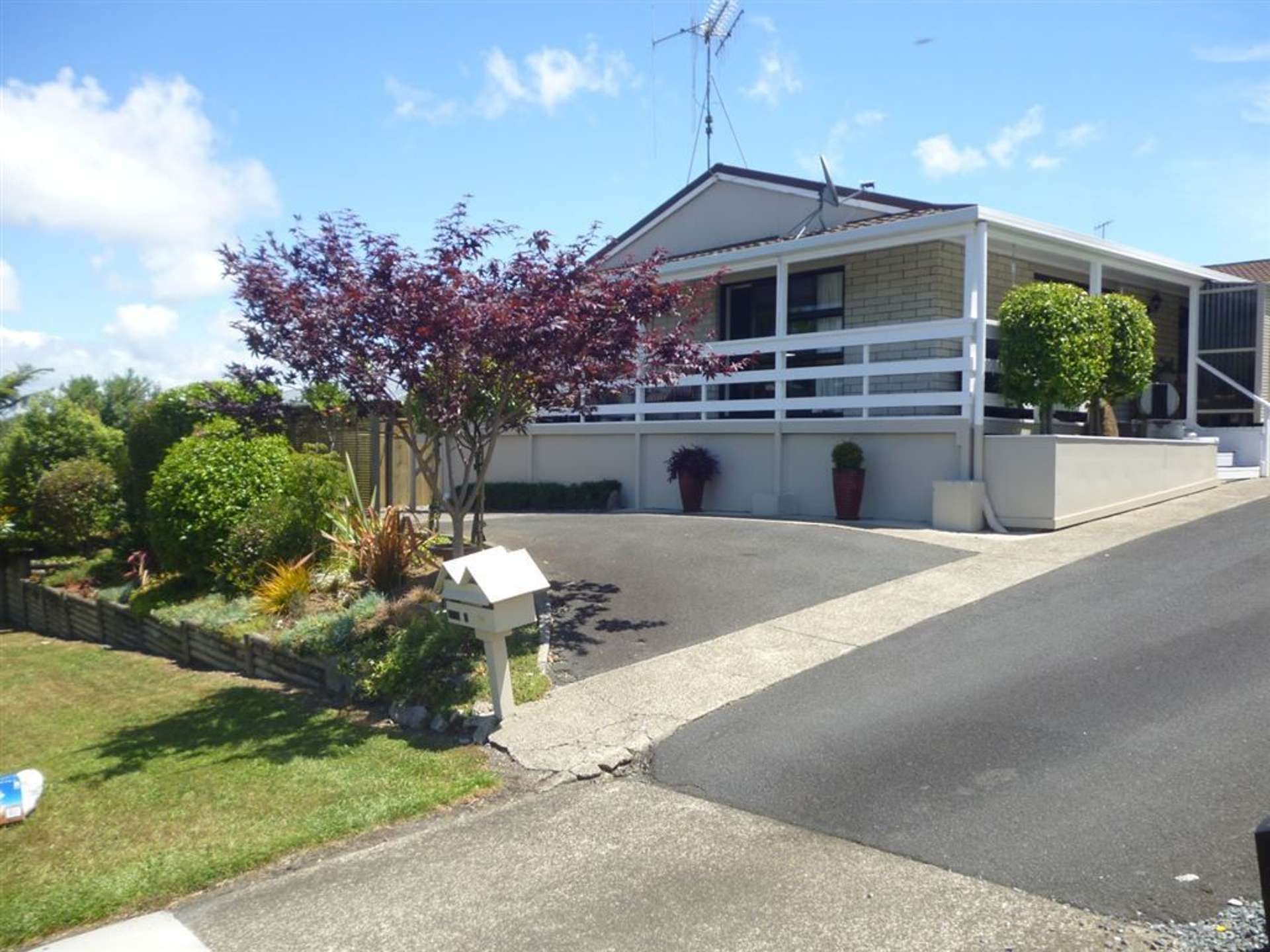 223 Taylor Avenue Te Awamutu_0