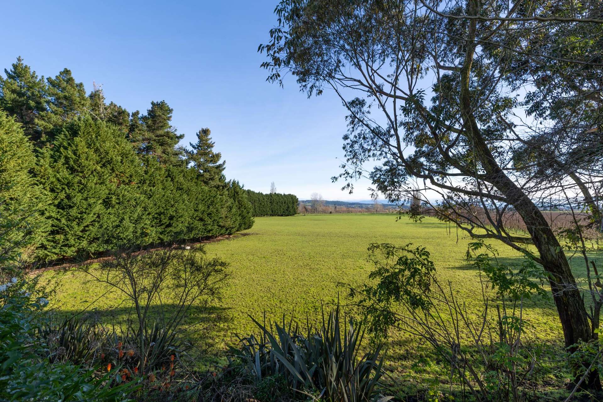 378 Pugh Road Hope_0